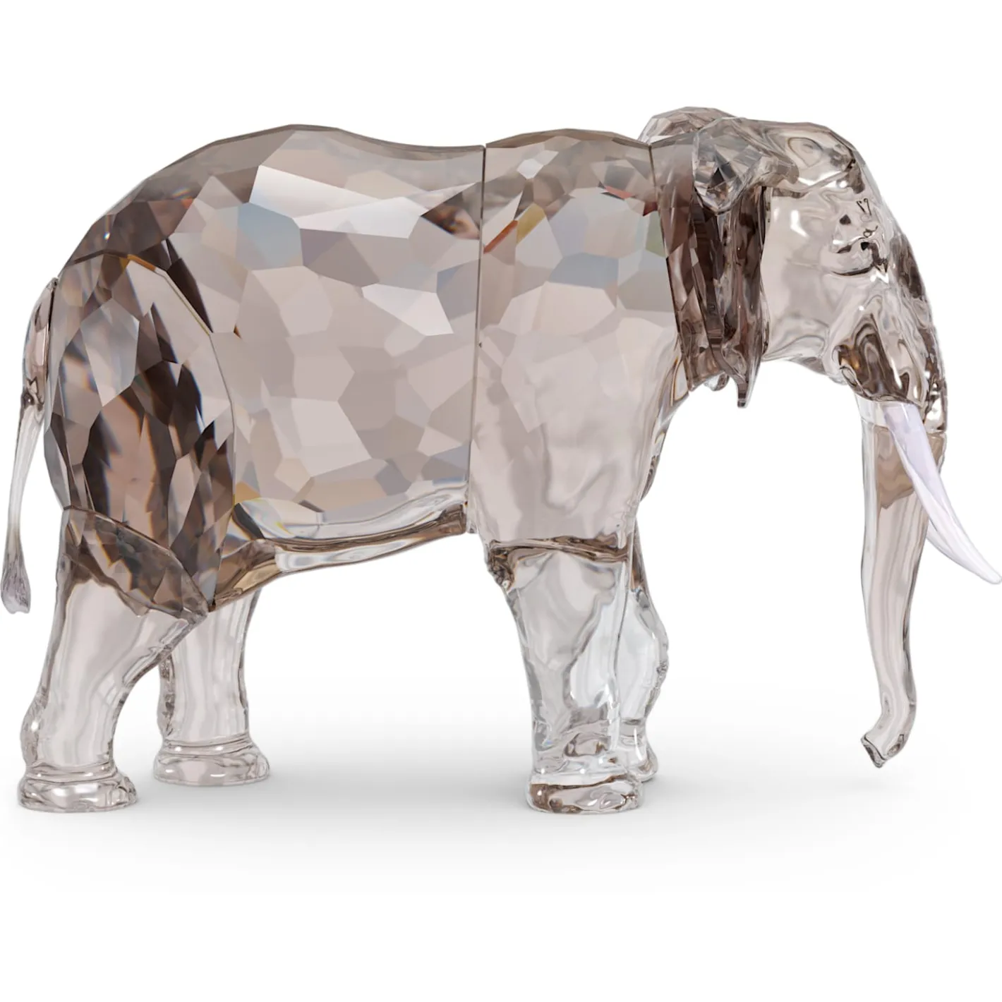 Elegance of Africa SCS Jahresausgabe 2022 Elefant Fayola