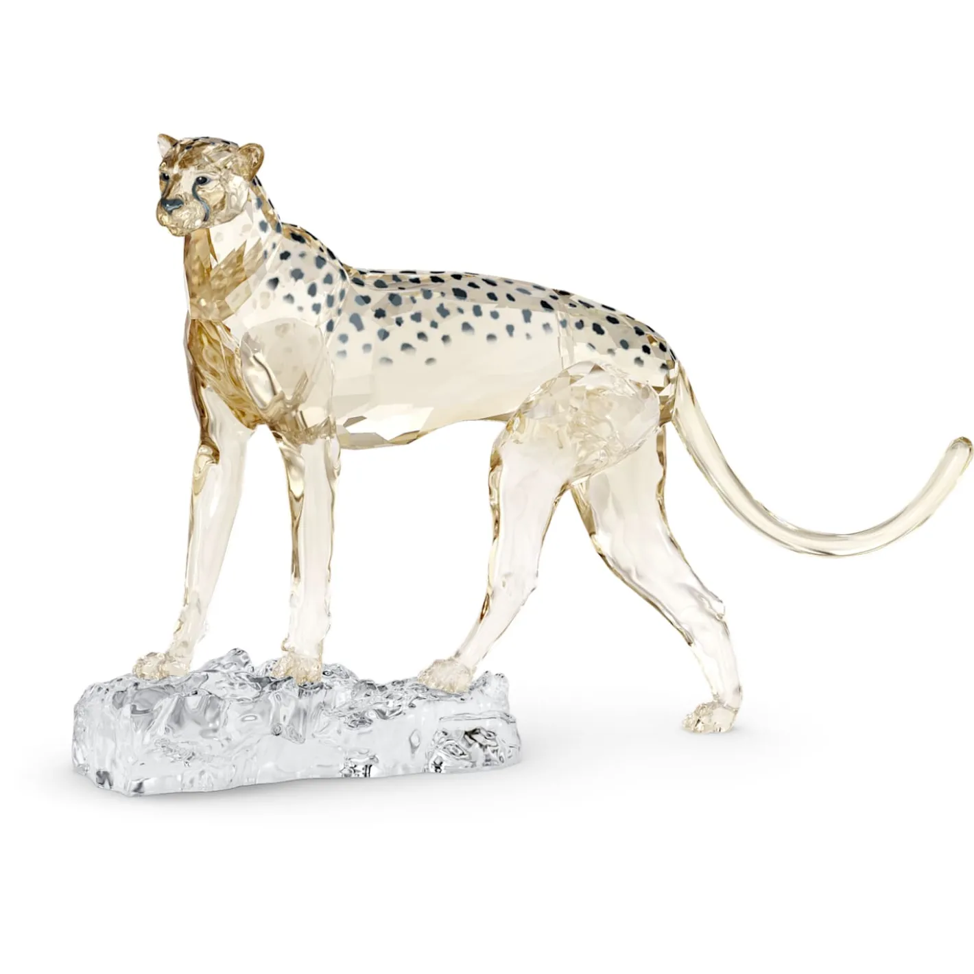 Elegance of Africa SCS Jahresausgabe 2023 Gepard Mehira