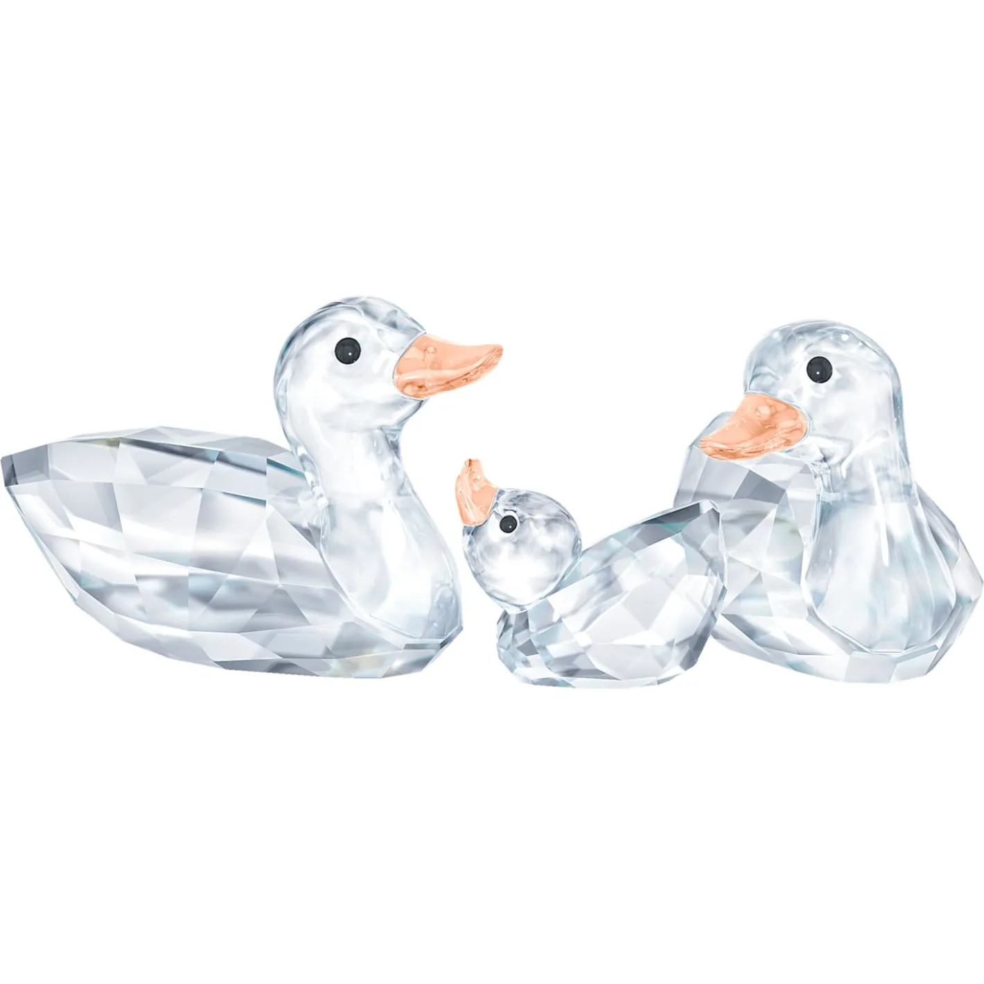 Enten
