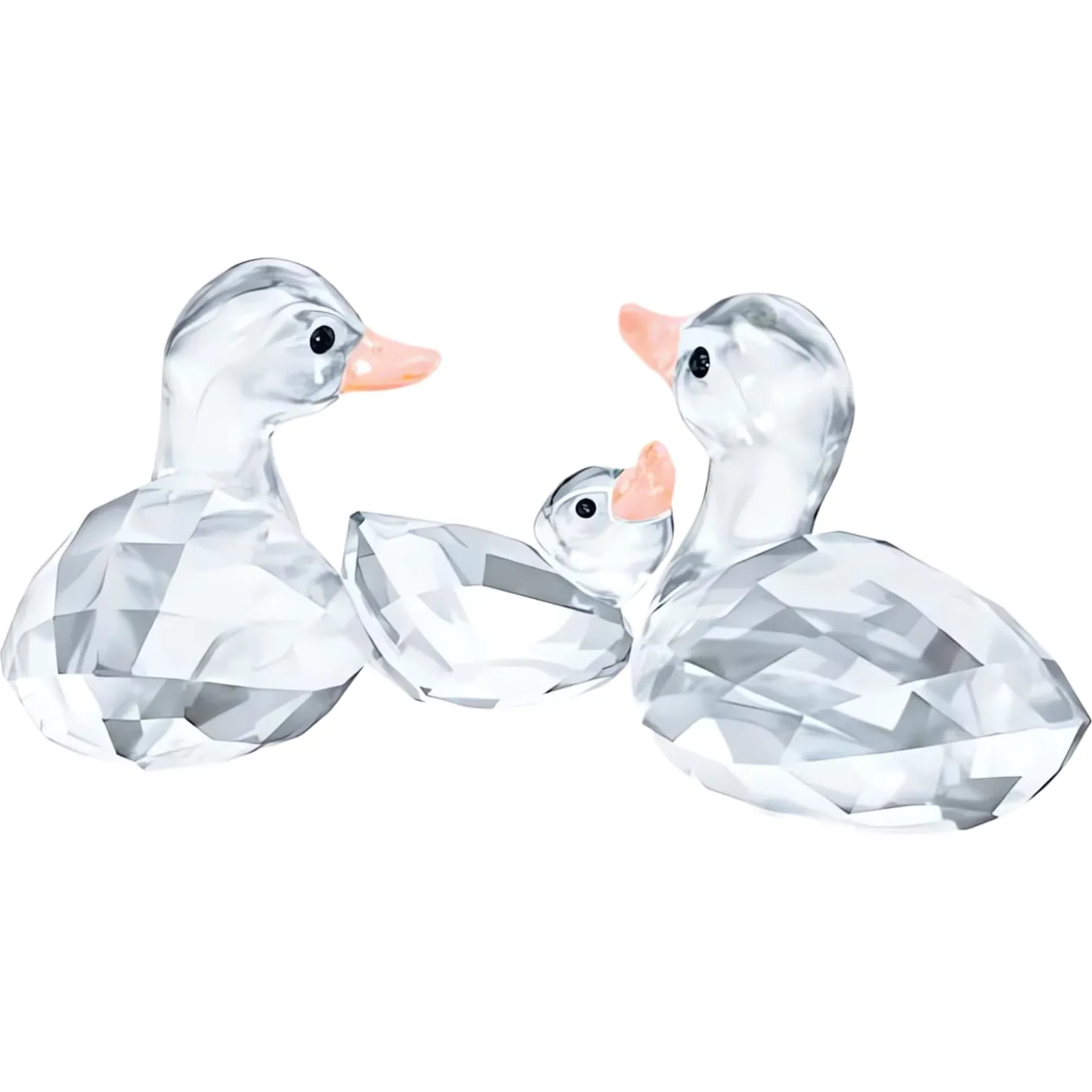 Enten
