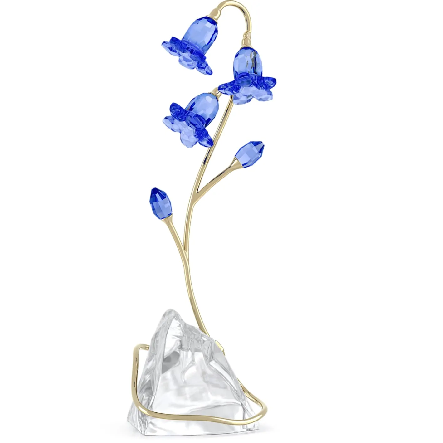 Florere Blaue Glockenblume