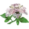 Florere Kamelie