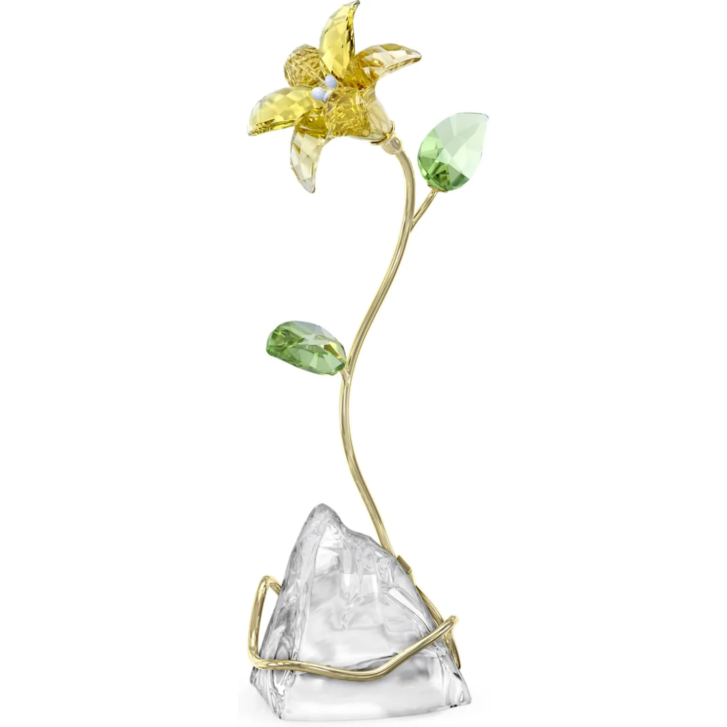 Florere Lilie