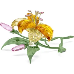 Florere Lilie