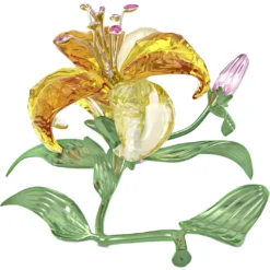 Florere Lilie