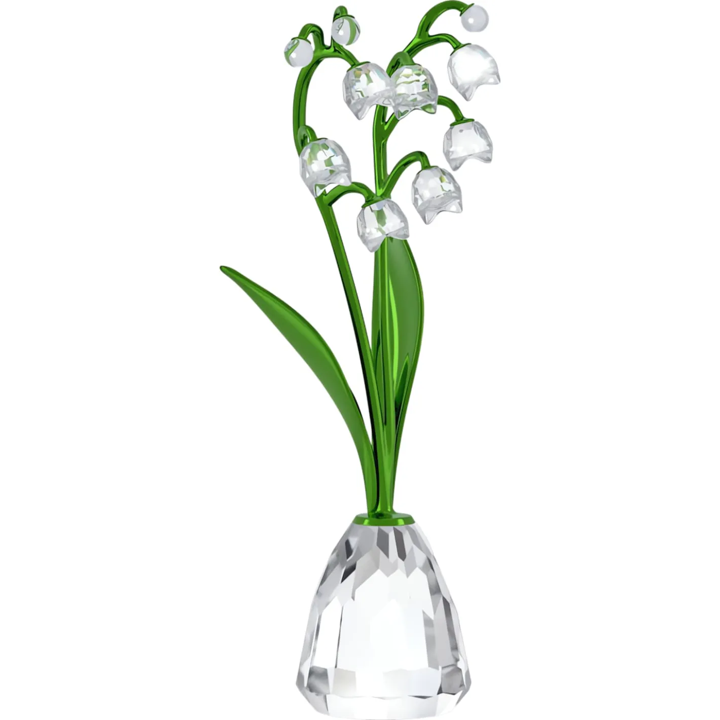 Florere Maiglöckchen