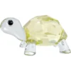 Idyllia Baby-Schildkröte