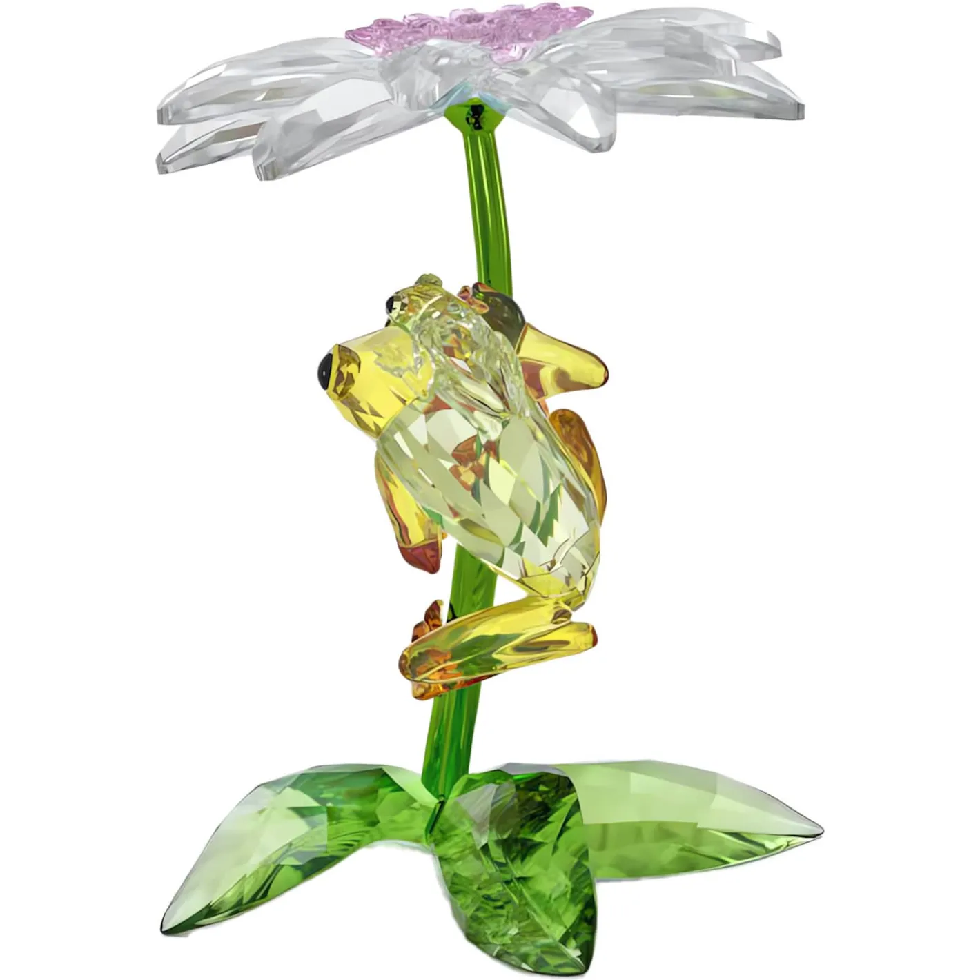 Idyllia Frösche und Blume