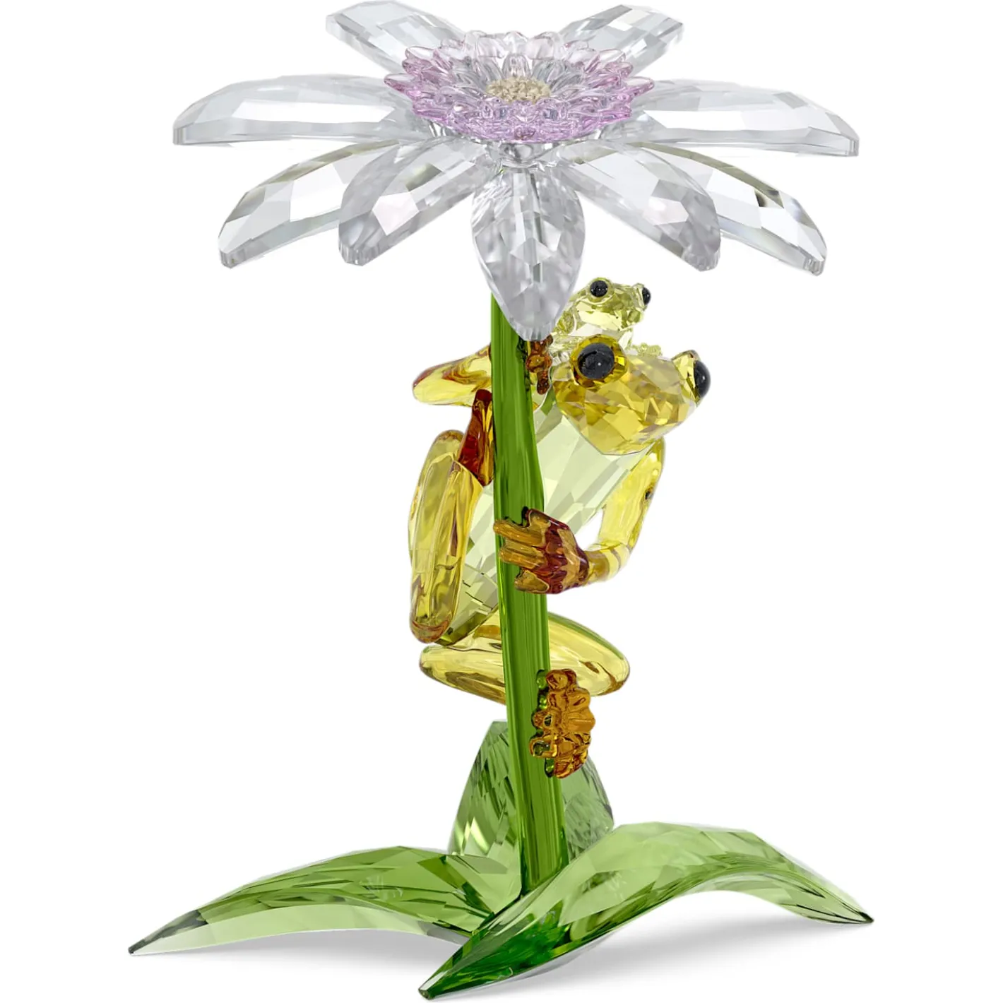 Idyllia Frösche und Blume