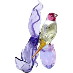 Idyllia Gouldamadine und Orchidee