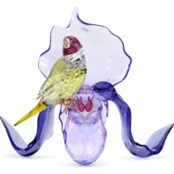 Idyllia Gouldamadine und Orchidee