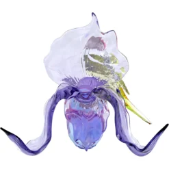 Idyllia Gouldamadine und Orchidee