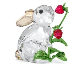 Idyllia Hase und Himbeeren