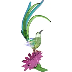 Idyllia Honigfresser und Kaktusblume