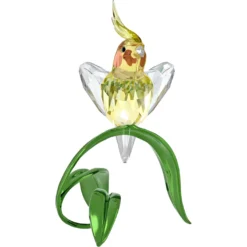 Idyllia Nymphensittich
