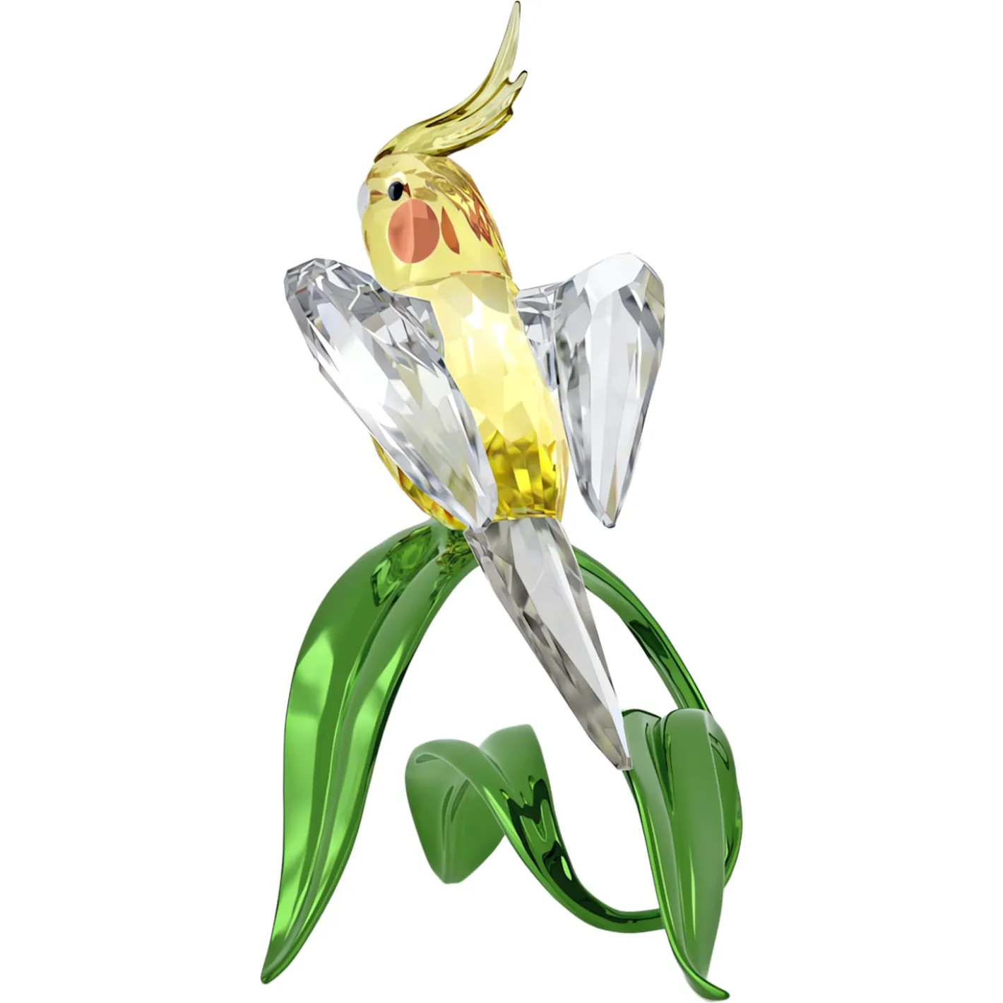 Idyllia Nymphensittich