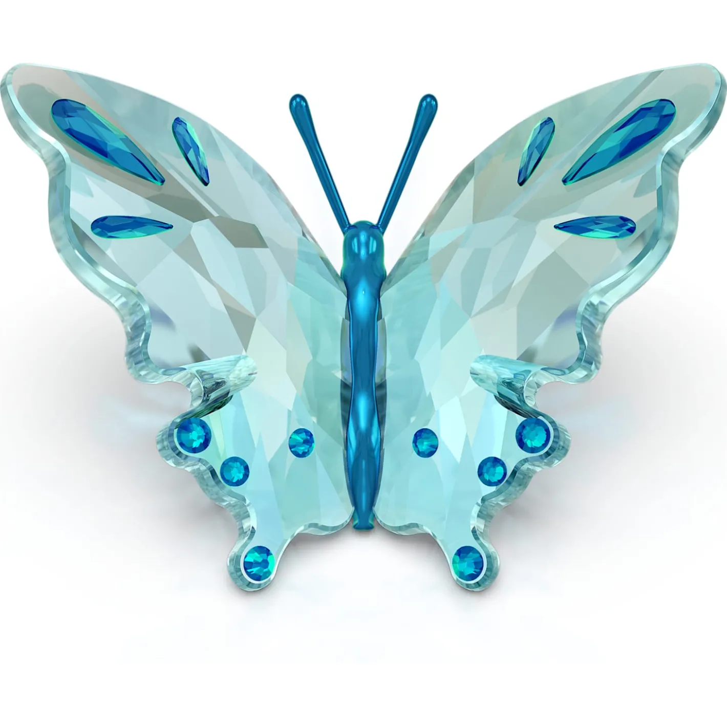 Idyllia Schmetterling