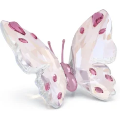 Idyllia Schmetterling
