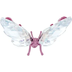 Idyllia Schmetterling