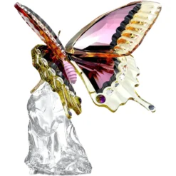 Idyllia Schmetterling
