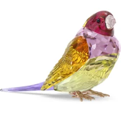 Idyllia SCS Gouldamadine