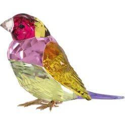 Idyllia SCS Gouldamadine