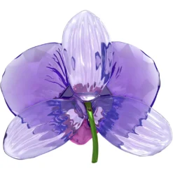 Idyllia SCS Orchidee Blütenblatt