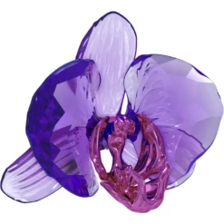Idyllia SCS Orchidee Blütenblatt