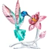 Kolibri