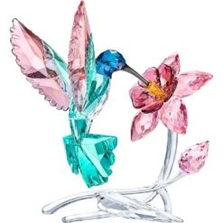 Kolibri