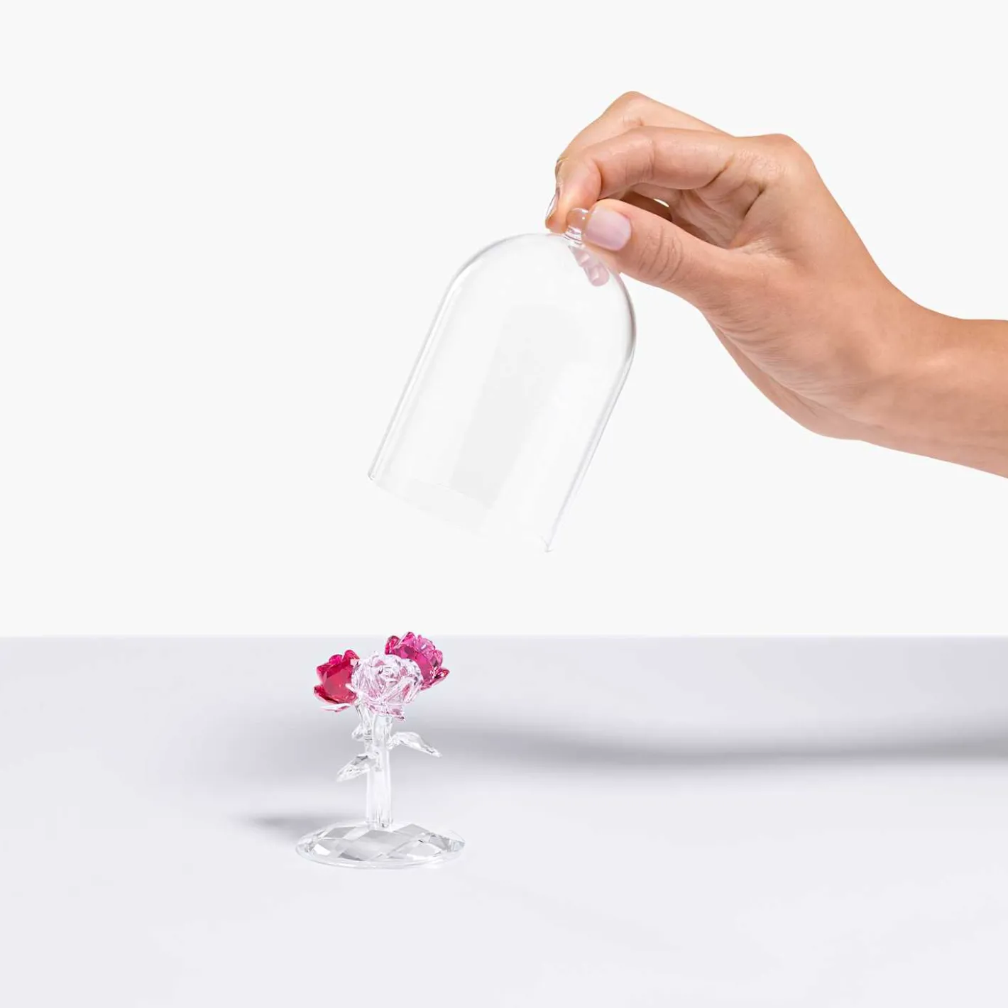 Rosenbouquet
