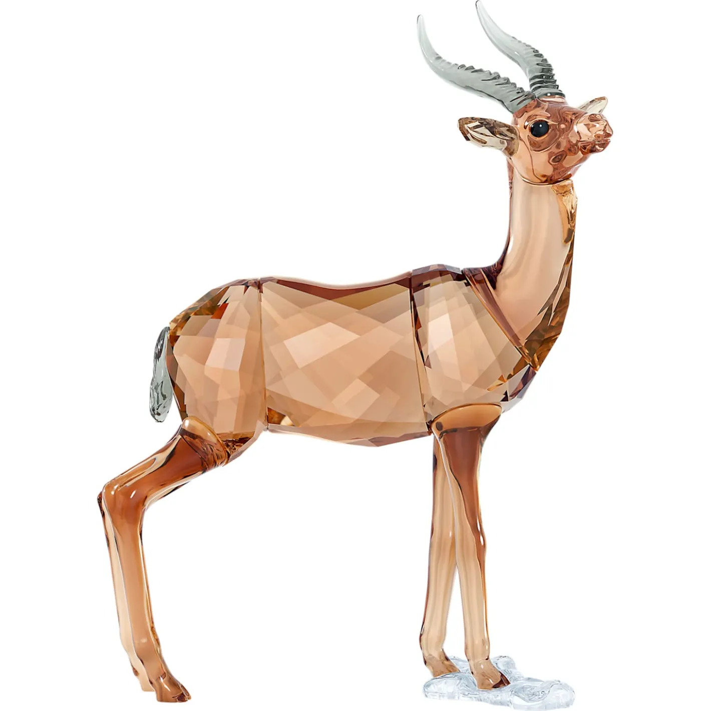 SCS Gazelle