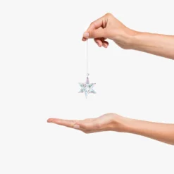 Stern Ornament